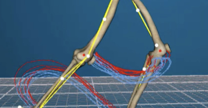 3D Gait Analysis